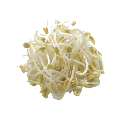 Ilda Calakovic - Diététicienne - Nutritioniste au Luxembourg (Pétange) - Fibres de plantes Ilda Calakovic - Diététicienne - Nutritioniste au Luxembourg (Pétange) - Fibres de plantes